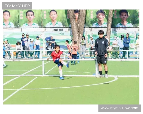 邢台足球明星盘点：那些在绿茵场上闪耀的本土英雄与传奇人物
