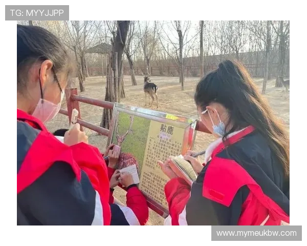 山东菏泽籍足球明星的崛起与成就探索之旅