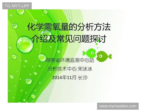 西安羽毛球队默契配合探讨及其对比赛成绩的影响分析