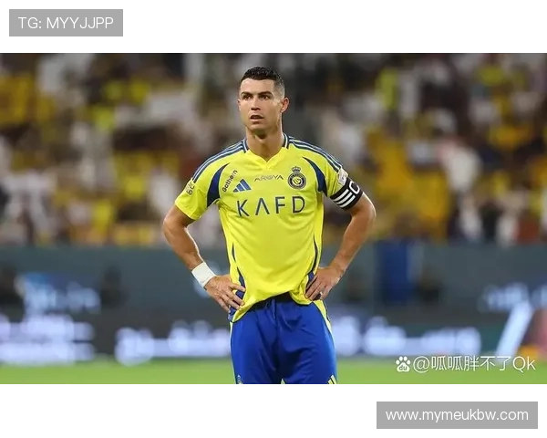 全球足球明星数量揭秘及其在世界足坛的影响力分析